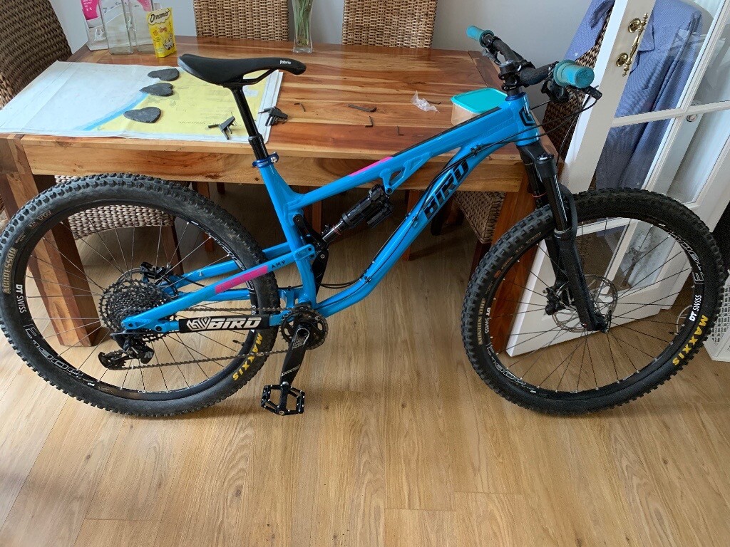 bird 29er